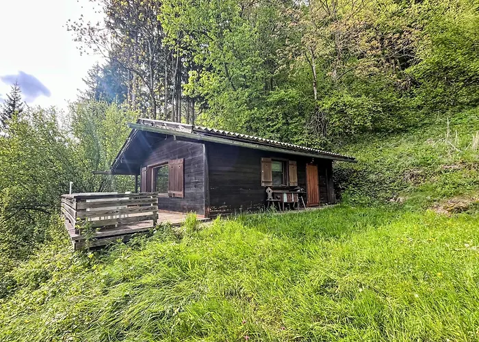 Haeuschen Am Waldrand By Interhome Annenheim