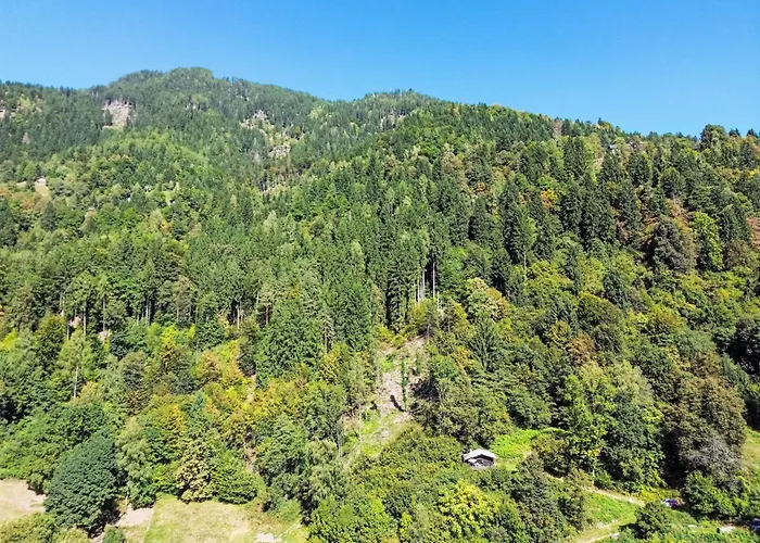 Haeuschen Am Waldrand By Interhome Annenheim